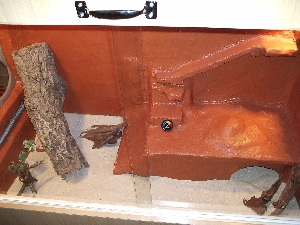 Terrarium